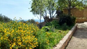 Cotignac : un haut lieu de l&rsquo;histoire de France